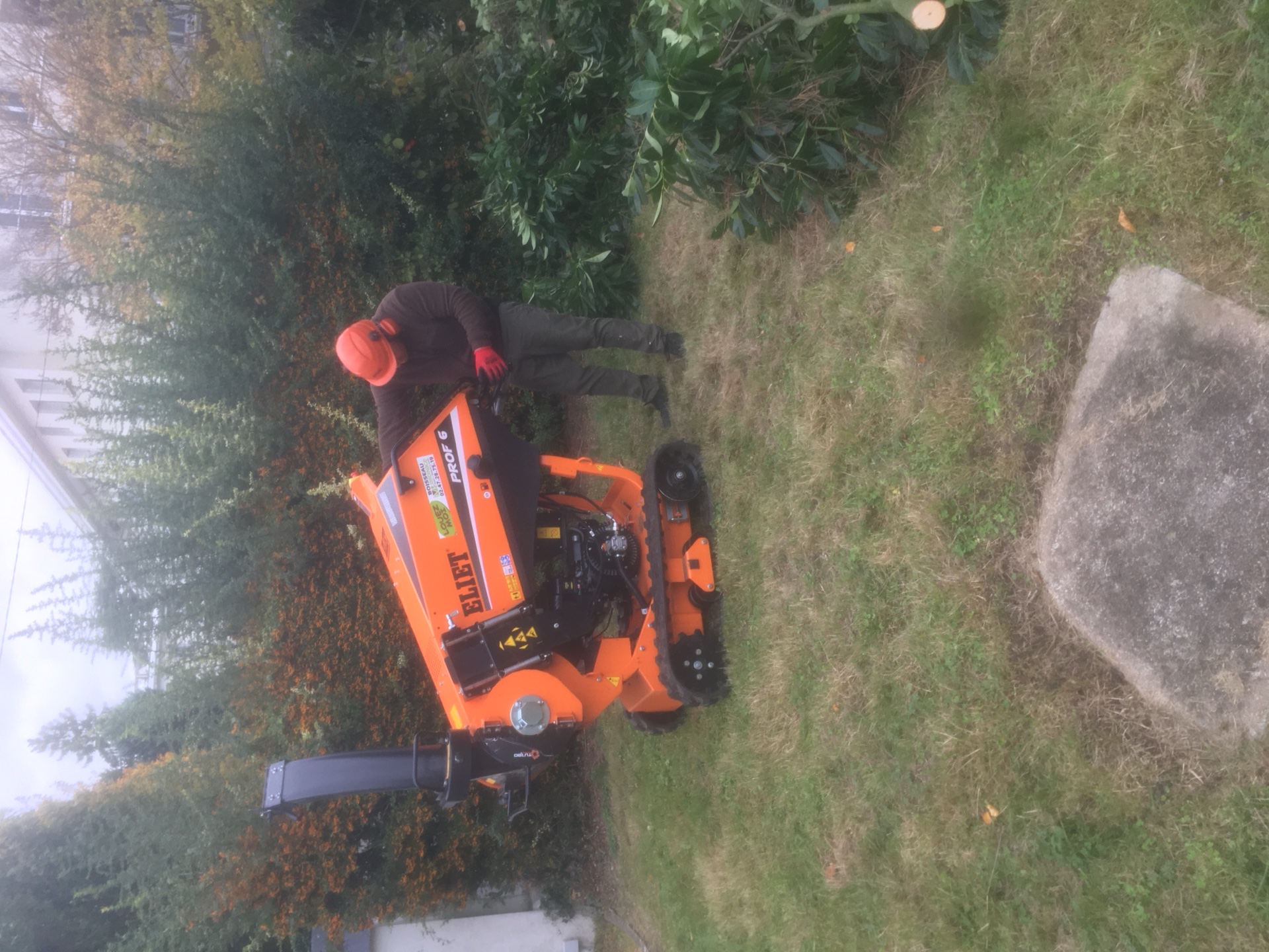 Élagage arbre en hauteur élagueur grimpeur professionnel Tours 37